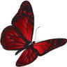 Фото профиля pinkbutterfly