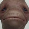 Фото профиля SlenderEnderGuy