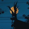 Lord_Kira (キラ✡️) profil fotoğrafı