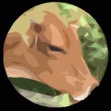 LaoMeng_'s profile picture
