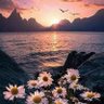الجــوهره profil fotoğrafı