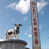 ひまわり乳業株式会社【公式】 的头像