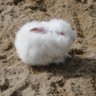 Omoplatic's profile picture