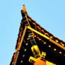 Profilbild von 尼惠克