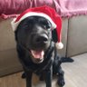 WanderBill80 profil fotoğrafı