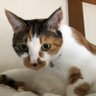 Фото профиля セブン