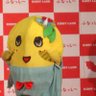 Profilbild von 京梨(きょうなし)