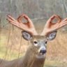 YK JOELY's profile picture