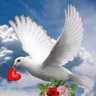 Profilbild von Mona Mohammad