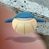 piyaaa_pong1811 profil fotoğrafı