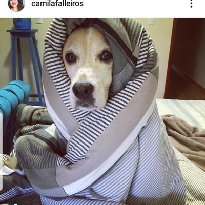 luisdarinmorto's profile picture