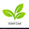 Green Leaf profil fotoğrafı