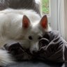 Willy T's profile picture