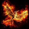 Mockingjay ||| profil fotoğrafı