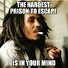 Black hippie's profile picture