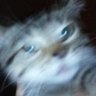 Profilbild von WhatYouNow