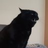 Sleep's profile picture