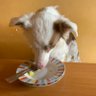 Treby's profile picture