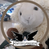 Ed the travelling Taika stan sheep 🏴☠️'s profile picture
