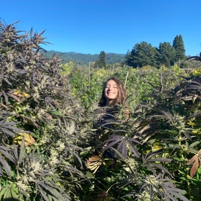 Girls in Green's profile picture
