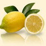 向日葵 profil fotoğrafı