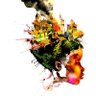 c jones's profile picture