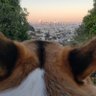 Triple Deuce profil fotoğrafı