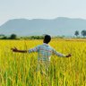 Parth Mishra profil foto─Яraf─▒