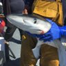 Fishingmagic's profile picture
