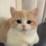 AlexSun's profile picture