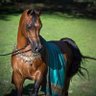 الحمدلله profil fotoğrafı