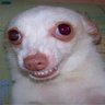 Pampam's profile picture