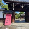 微小かつ不活性な脳死系システム⋈ 的头像