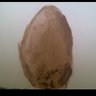 Фото профиля Eggmar72