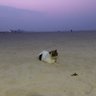 のり坊 profil fotoğrafı
