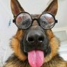 Oleg Lozo's profile picture