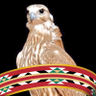حلم 的头像