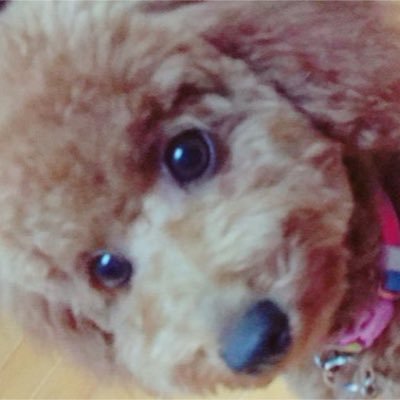 れてん-全ての出会いに感謝♪'s profile picture