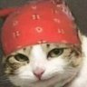 GatoVapo's profile picture