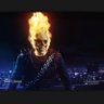steve's profile picture