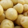 Um Batata 的头像
