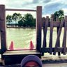greg profil fotoğrafı