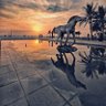 Hesham AlSaud profil fotoğrafı