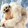 Wampa Guy profil fotoğrafı
