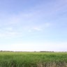 Фото профиля นายช่าง บางปะกง