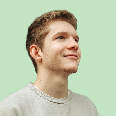 Timo Lins's profile picture