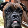 Profilbild von Guy