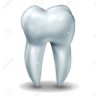 Dr.Amit Kushvaha's profile picture