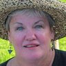 Susan Santry's profile picture