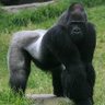 True Discipline's profile picture